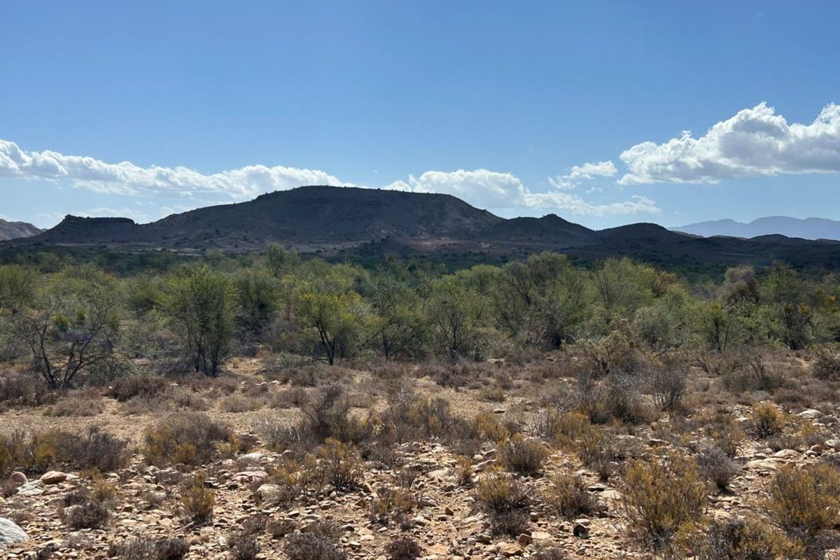 Farm For Sale in Ladismith Rural - Photo 5