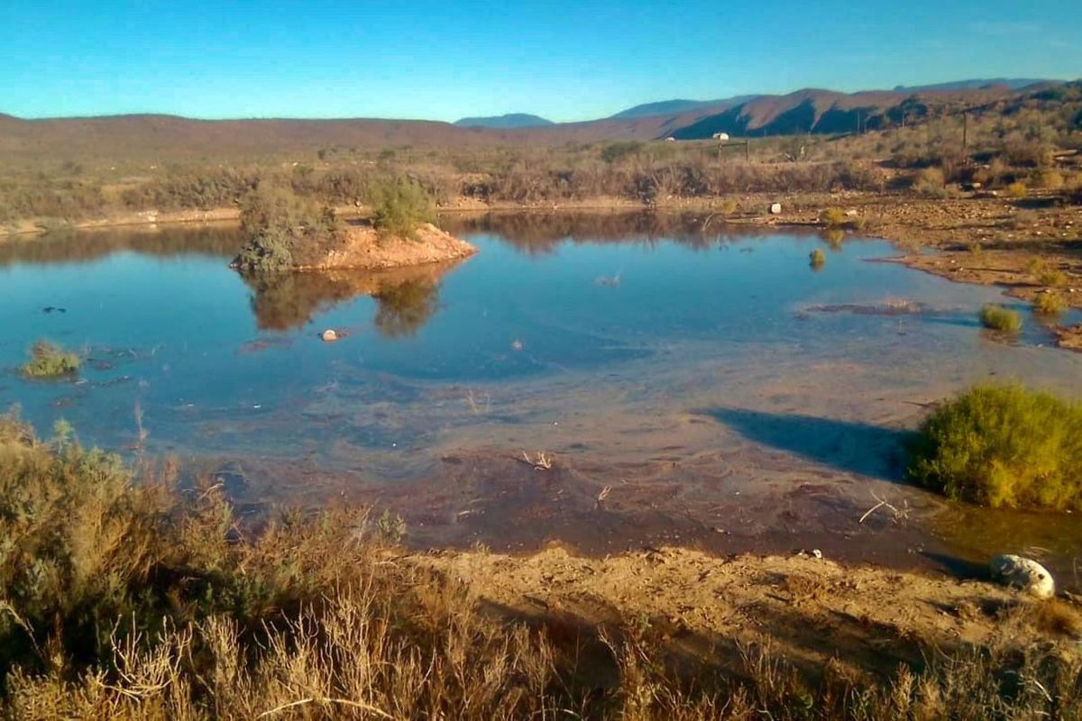 Farm For Sale in Ladismith Rural - Photo 3