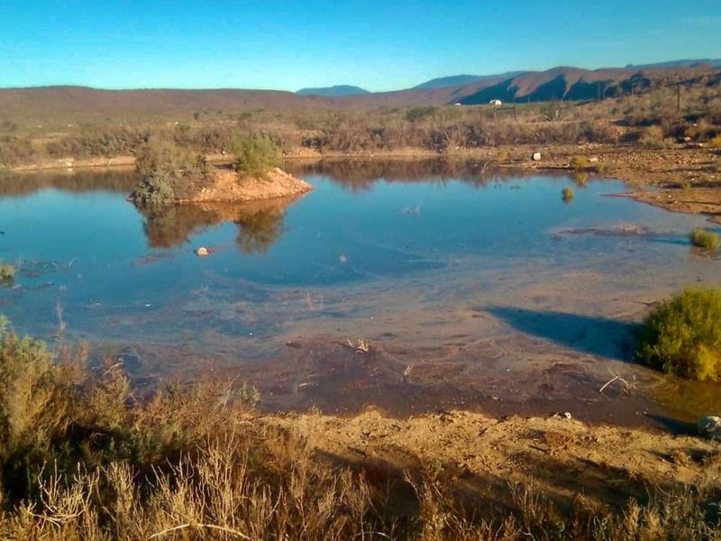 Farm For Sale in Ladismith Rural - Photo 3