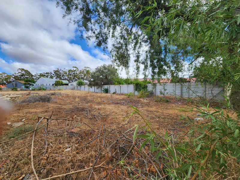 Vacant Land Residential For Sale in Ashton Central - Photo 3