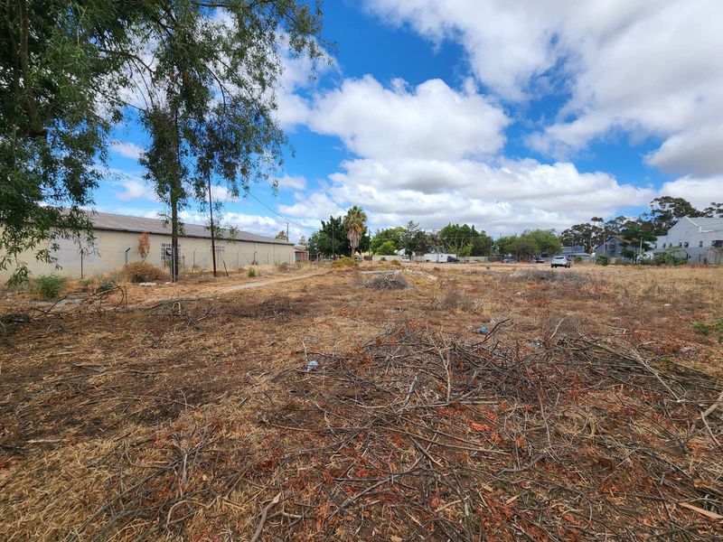 Vacant Land Residential For Sale in Ashton Central - Photo 6