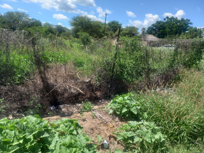 Vacant Land Residential For Sale in Dendron Central - Photo 3