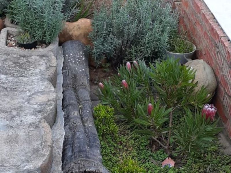 House For Sale in Stilbaai Wes - Photo 3