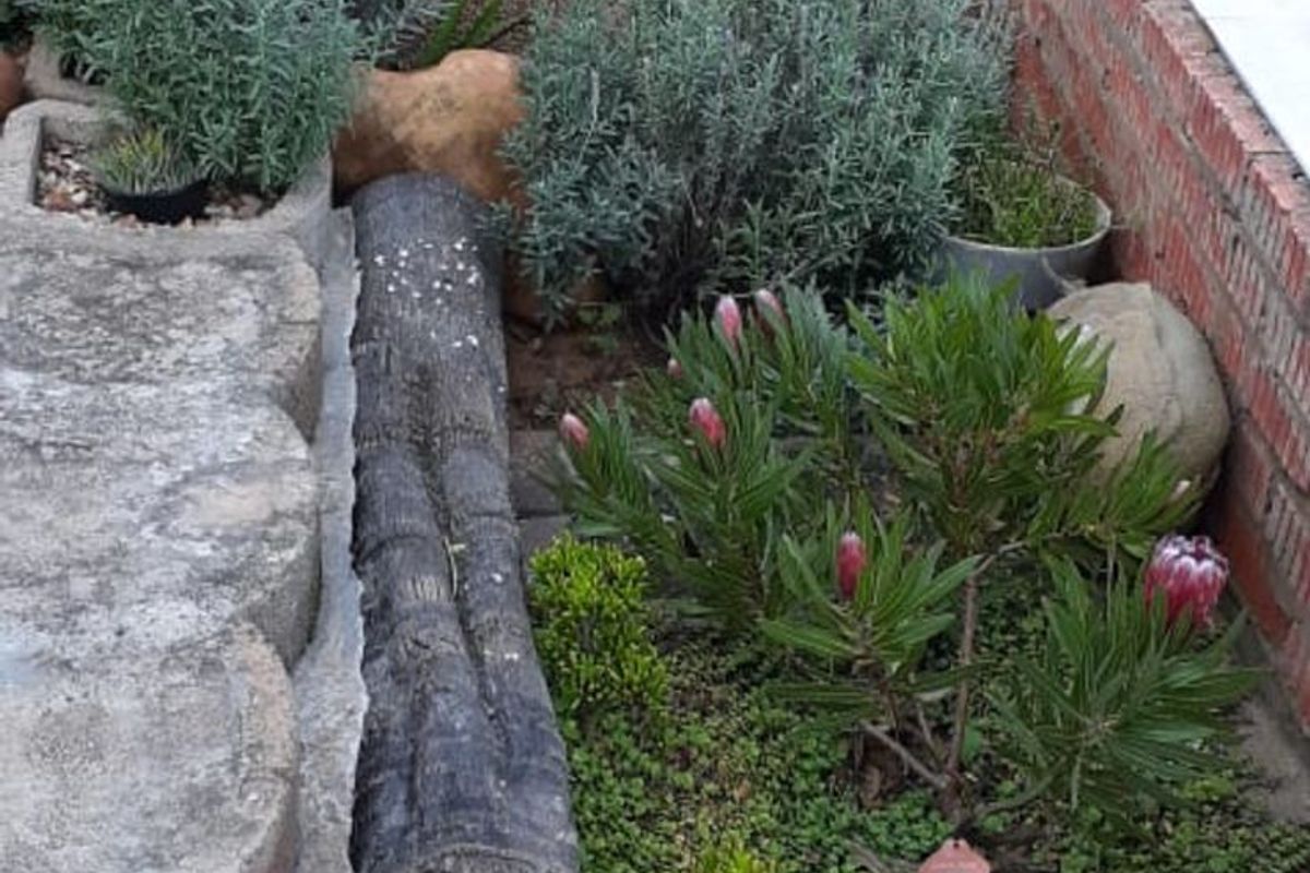 House For Sale in Stilbaai Wes - Photo 3