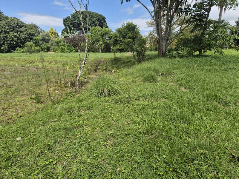 Vacant Land Residential For Sale in Crestholme - Photo 6