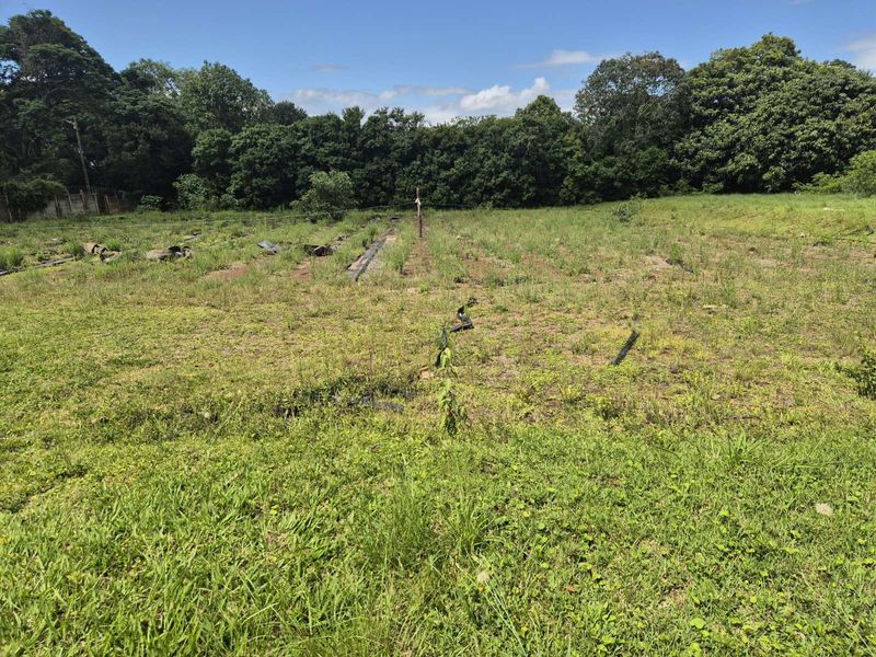 Vacant Land Residential For Sale in Crestholme - Photo 3