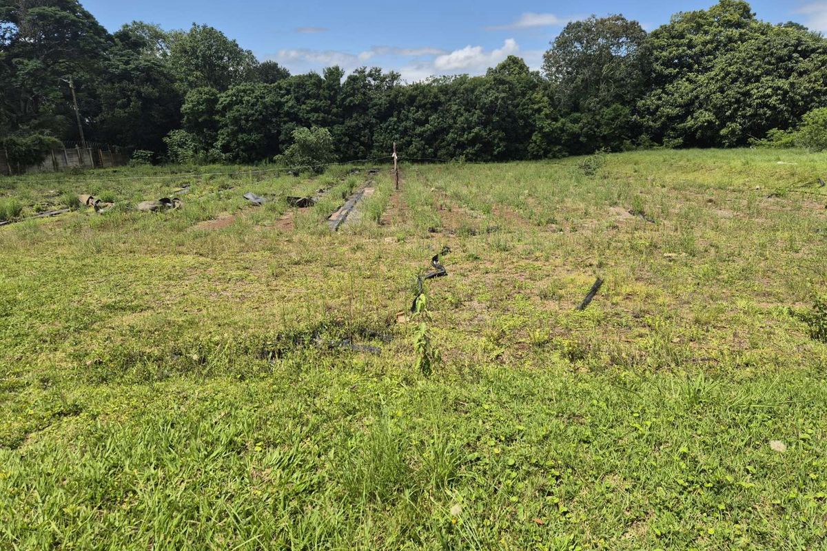 Vacant Land Residential For Sale in Crestholme - Photo 3