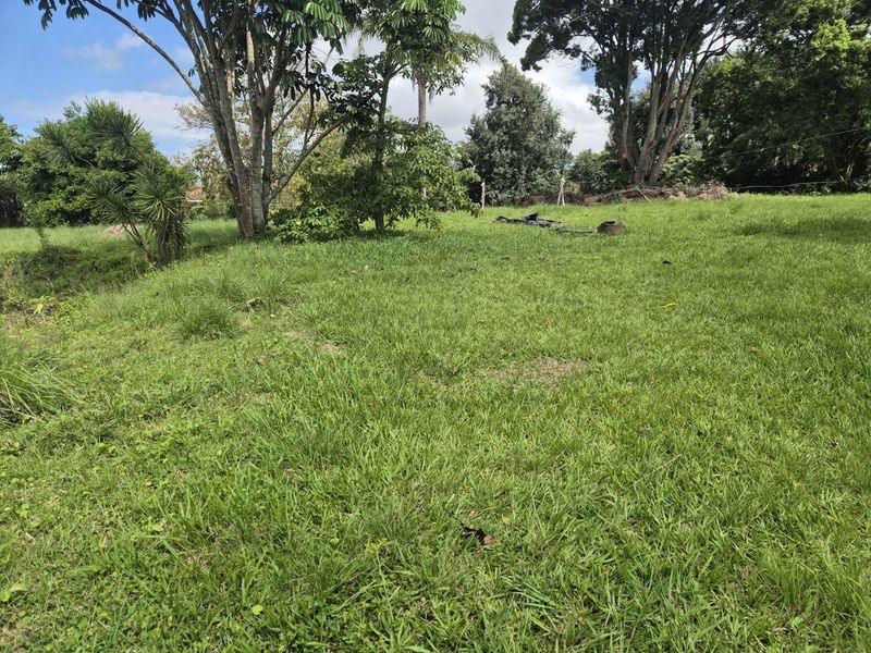 Vacant Land Residential For Sale in Crestholme - Photo 7