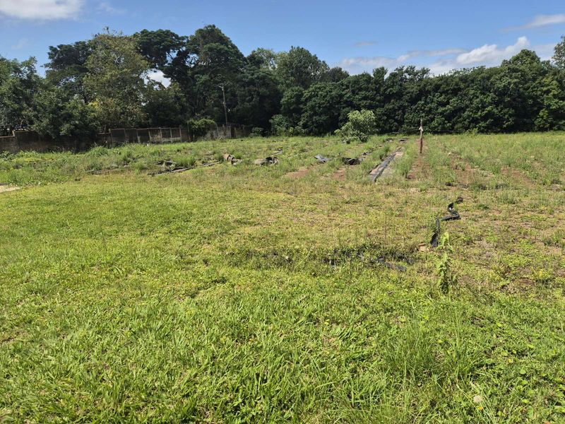 Vacant Land Residential For Sale in Crestholme - Photo 2