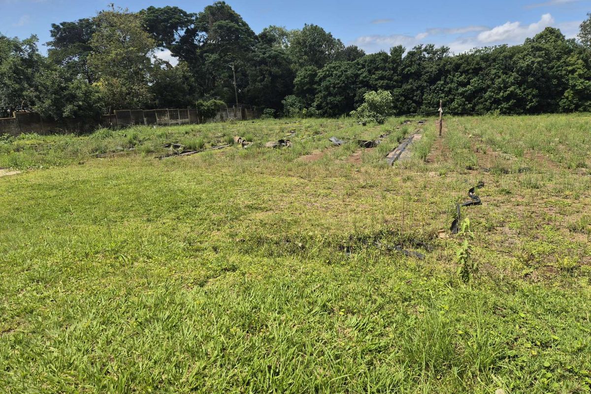 Vacant Land Residential For Sale in Crestholme - Photo 2