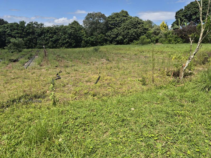 Vacant Land Residential For Sale in Crestholme - Photo 4