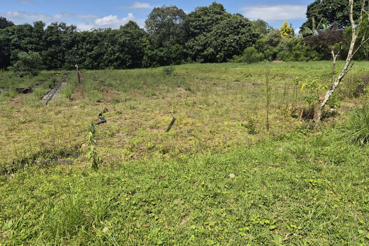 Vacant Land Residential For Sale in Crestholme - Photo 4