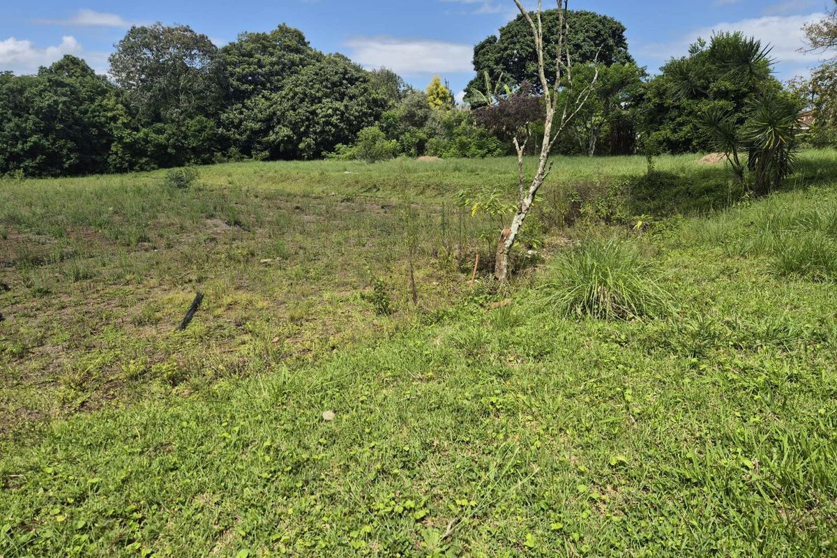 Vacant Land Residential For Sale in Crestholme - Photo 5