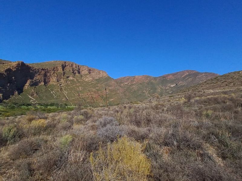 Farm For Sale in Calitzdorp Rural - Photo 2