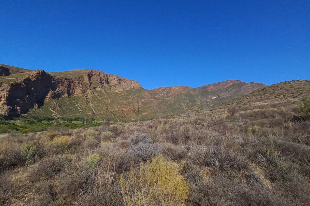 Farm For Sale in Calitzdorp Rural - Photo 2