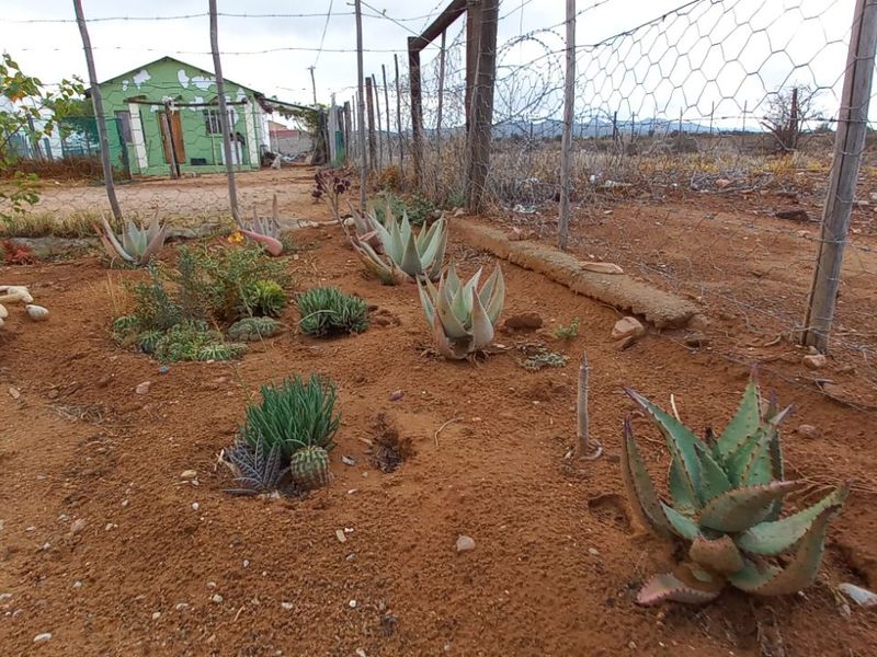 House For Sale in Calitzdorp Central - Photo 8