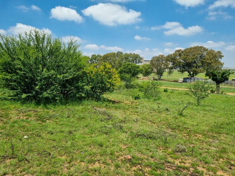 Vacant Land Residential For Sale in Marquard Central - Photo 3