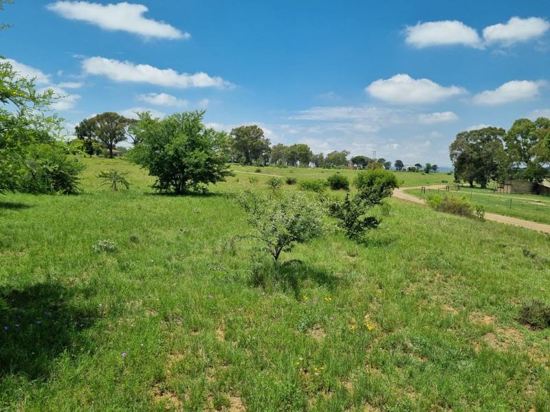 Vacant Land Residential For Sale in Marquard Central - Photo 4