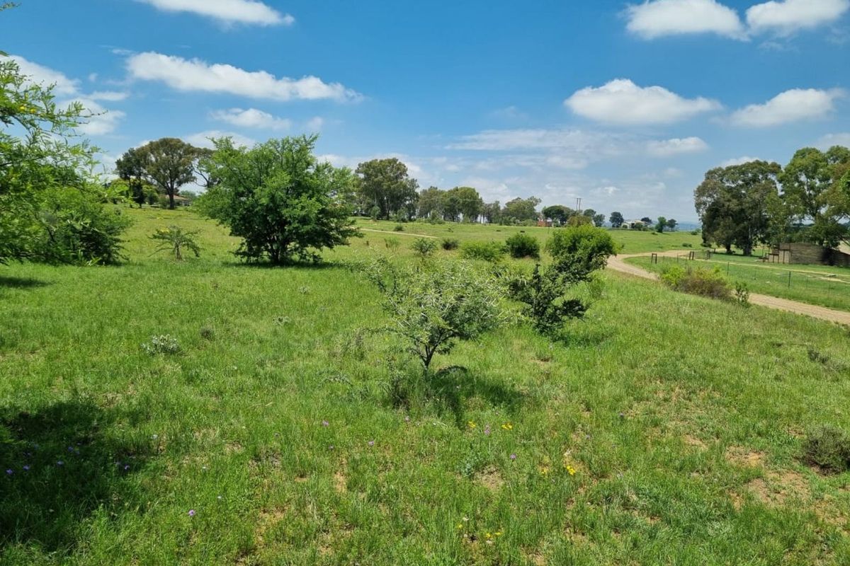 Vacant Land Residential For Sale in Marquard Central - Photo 4
