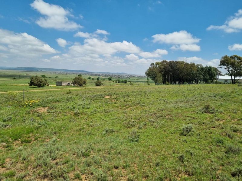 Vacant Land Residential For Sale in Marquard Central - Photo 1