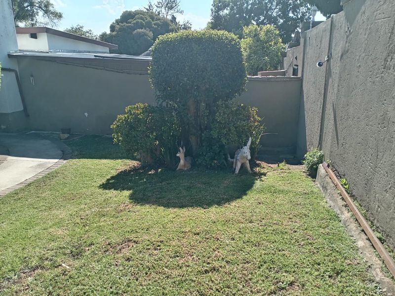 House For Sale in Randpark - Photo 9