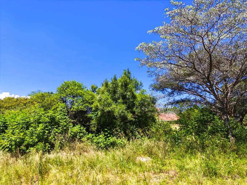 Vacant Land Residential For Sale in Modimolle Central - Photo 2