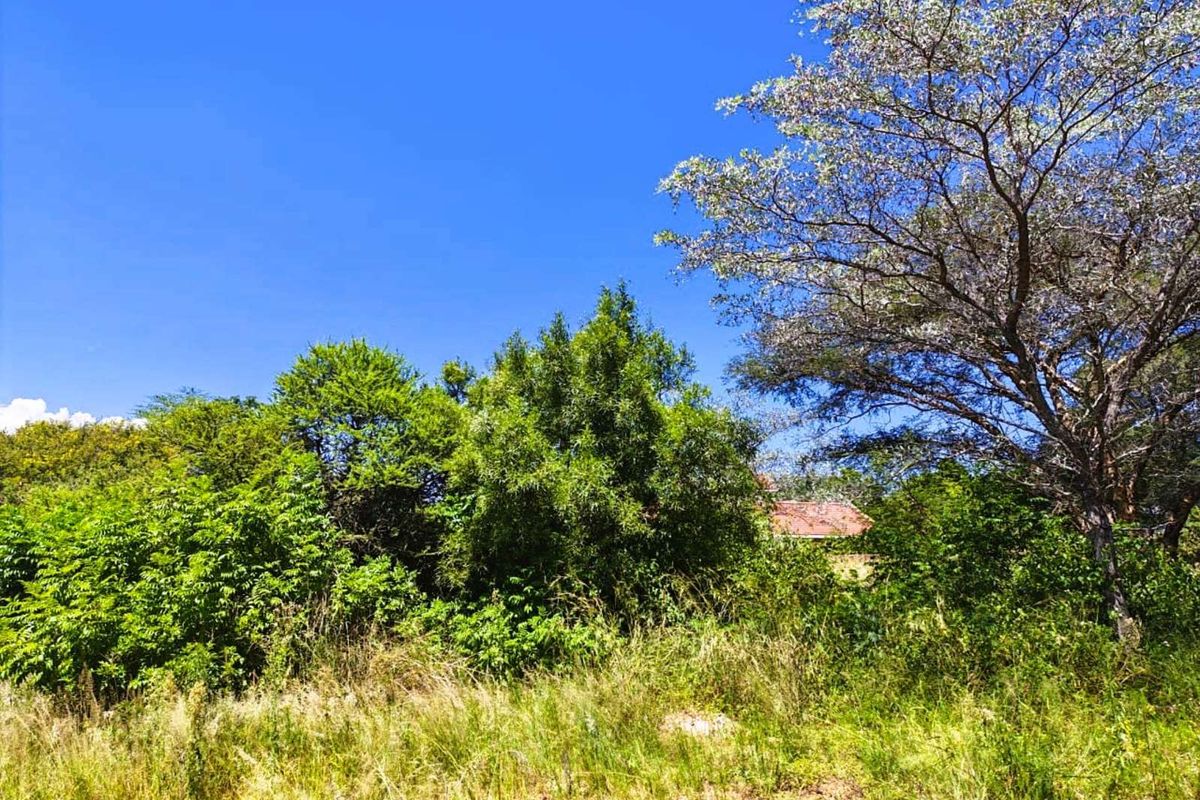 Vacant Land Residential For Sale in Modimolle Central - Photo 2