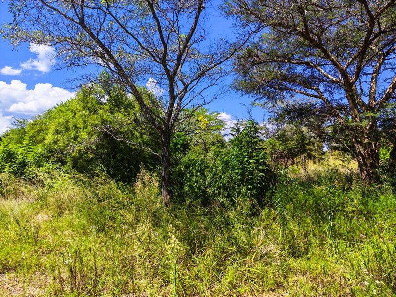 Vacant Land Residential For Sale in Modimolle Central - Photo 4