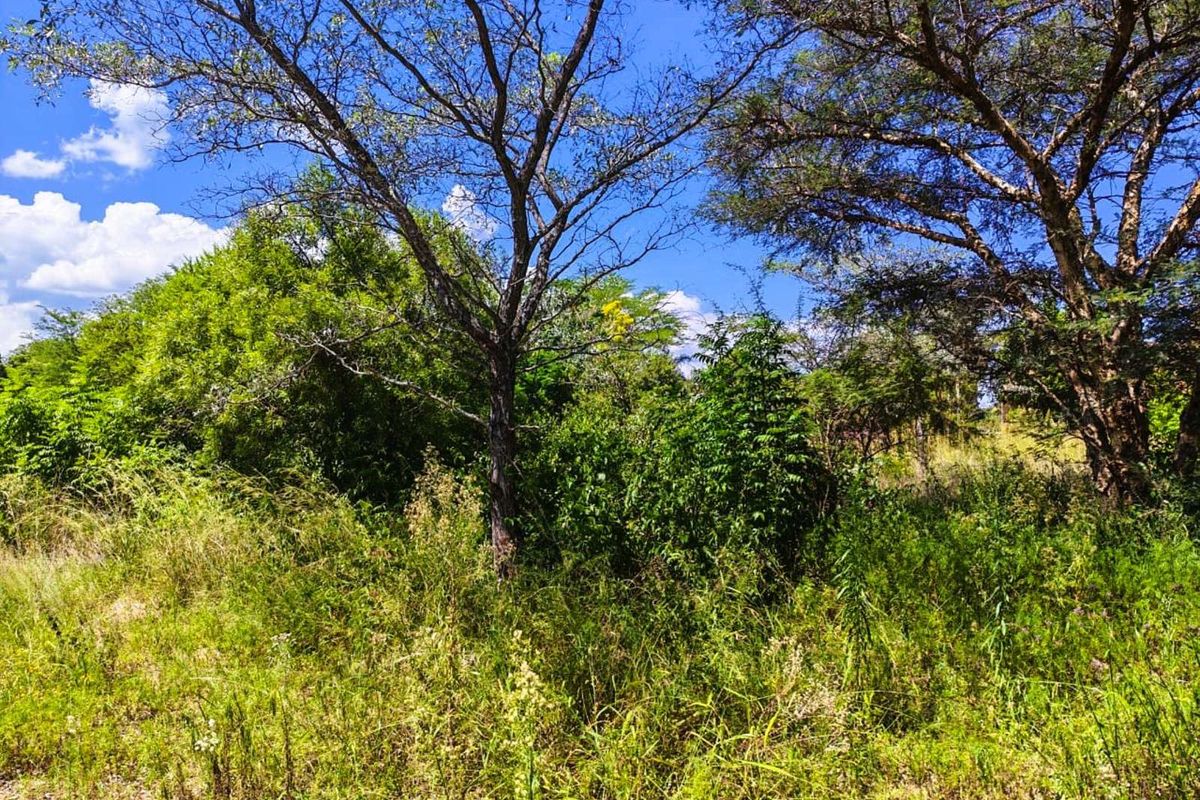 Vacant Land Residential For Sale in Modimolle Central - Photo 4