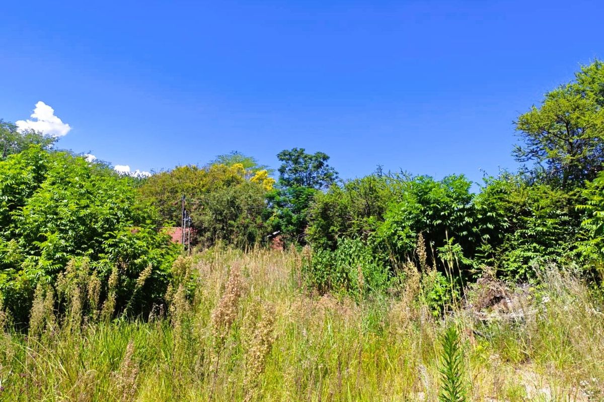 Vacant Land Residential For Sale in Modimolle Central - Photo 3