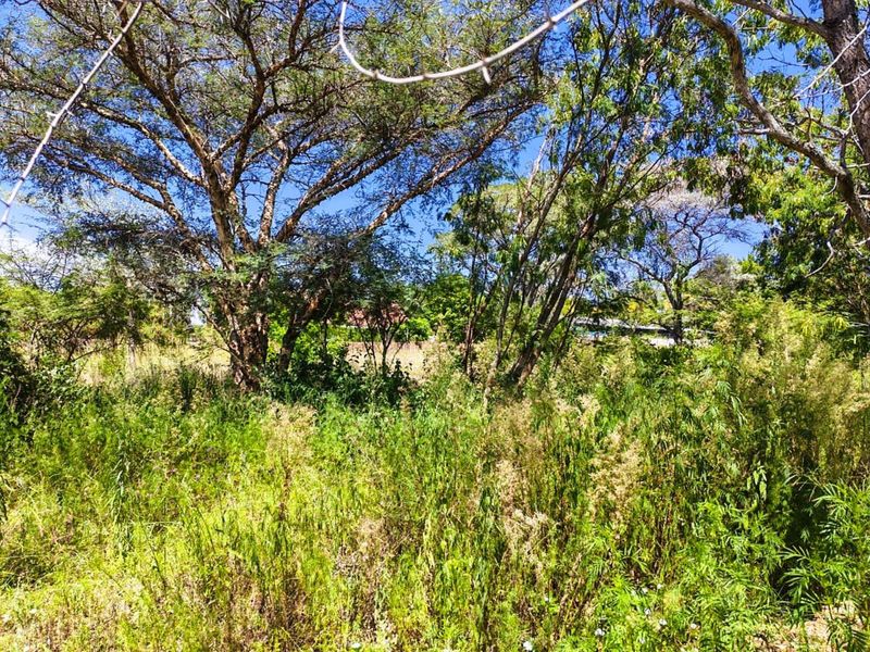 Vacant Land Residential For Sale in Modimolle Central - Photo 5