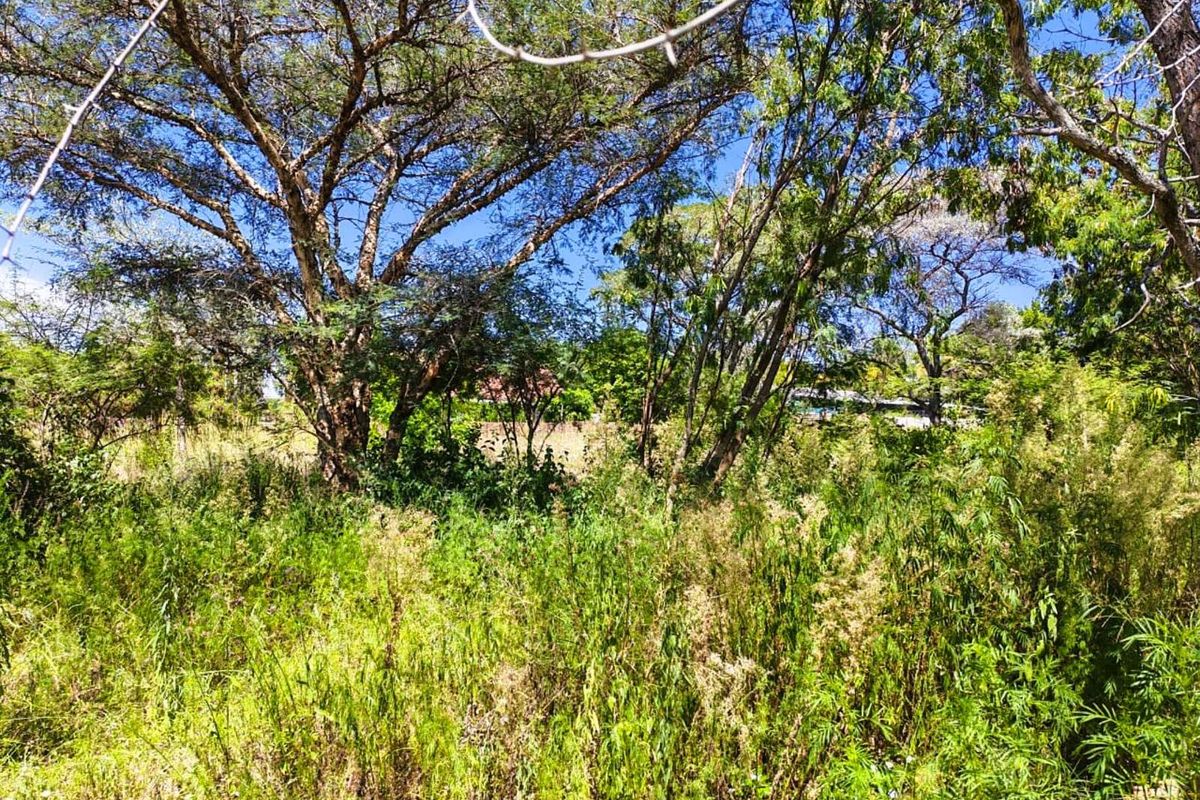 Vacant Land Residential For Sale in Modimolle Central - Photo 5