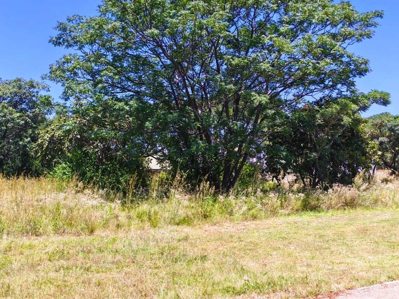 Vacant Land Residential For Sale in Modimolle Central - Photo 6