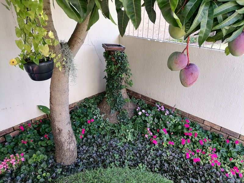 Townhouse For Sale in Garsfontein - Photo 1