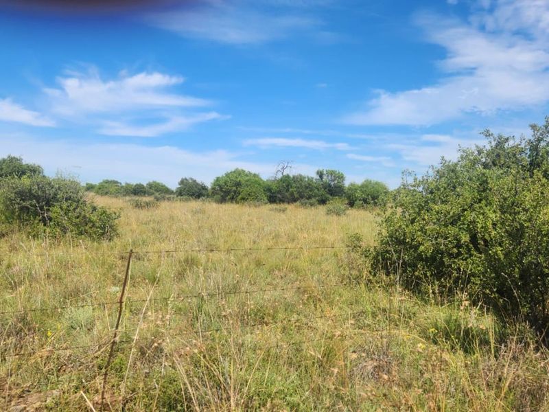 Farm For Sale in Lichtenburg Rural - Photo 6