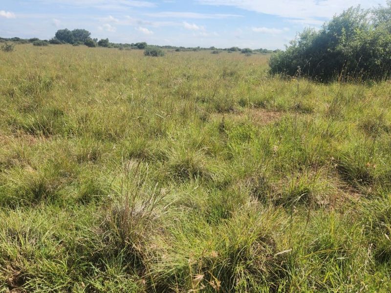 Farm For Sale in Lichtenburg Rural - Photo 5