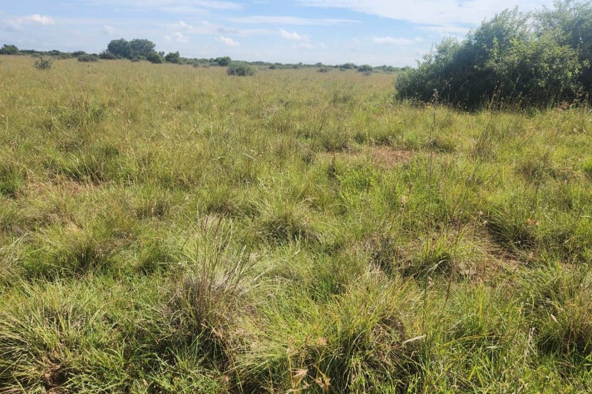 Farm For Sale in Lichtenburg Rural - Photo 5