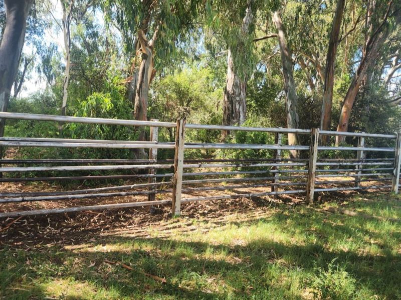 Farm For Sale in Lichtenburg Rural - Photo 10