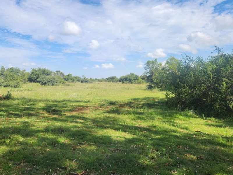 Farm For Sale in Lichtenburg Rural - Photo 8