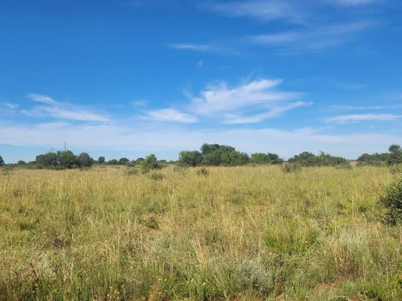 Farm For Sale in Lichtenburg Rural - Photo 3