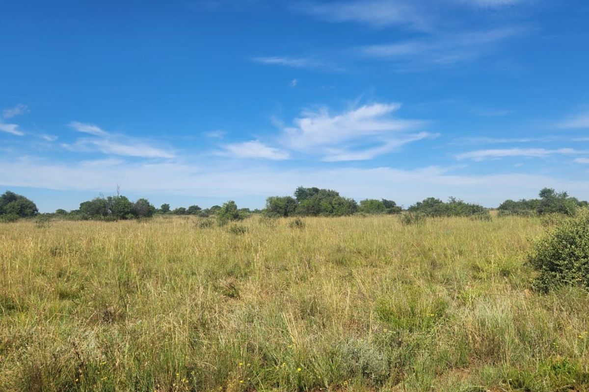 Farm For Sale in Lichtenburg Rural - Photo 3