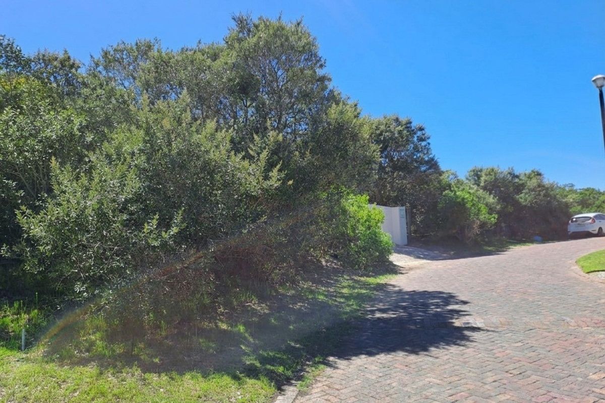 Vacant Land Residential For Sale in Cola Beach - Photo 3
