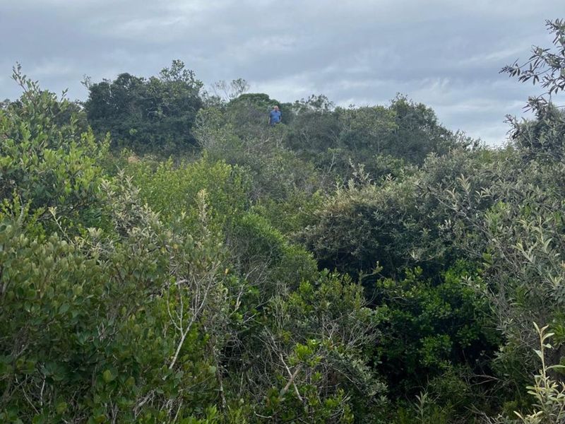 Vacant Land Residential For Sale in Cola Beach - Photo 8