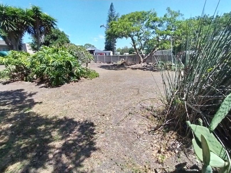 Business For Sale in Newton Park - Photo 4