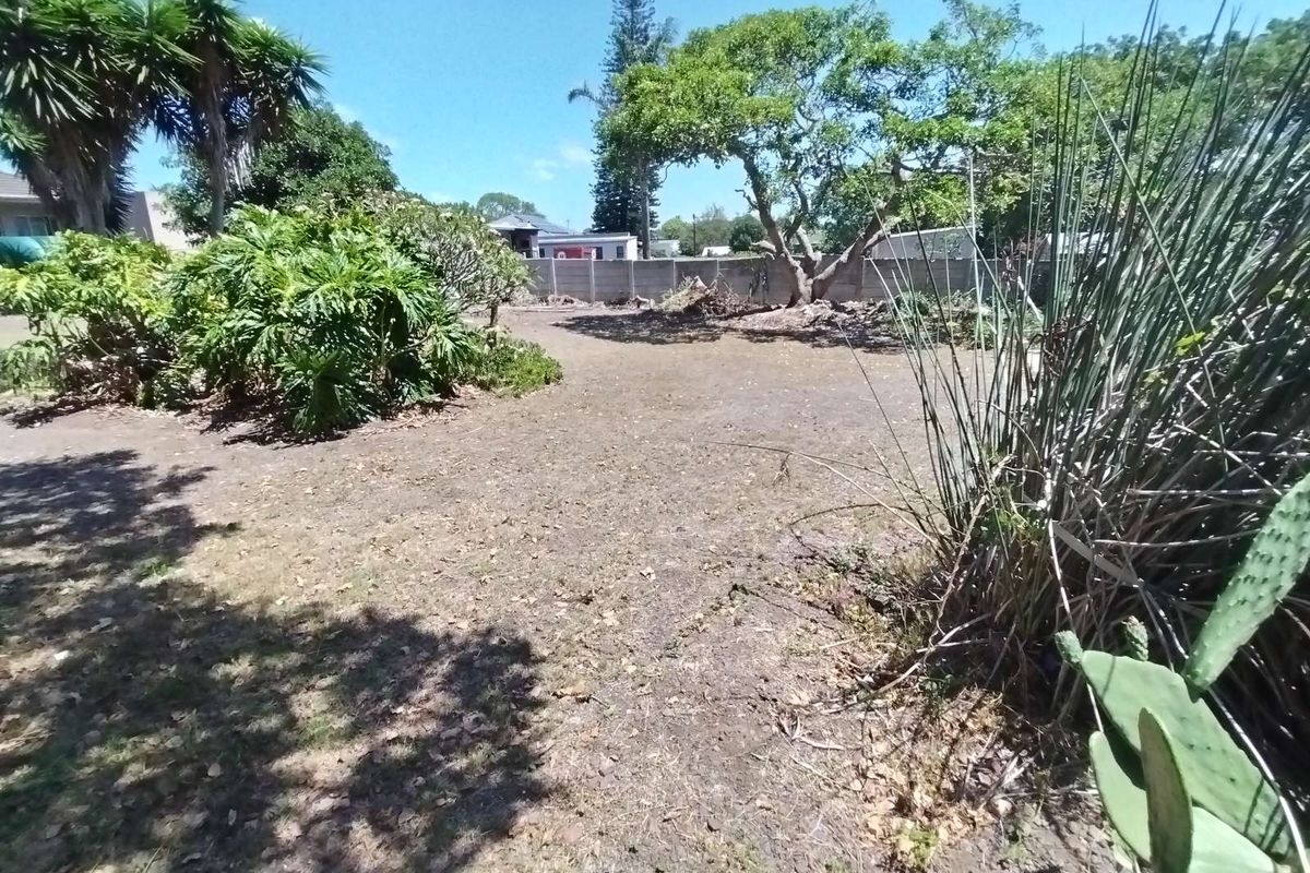 Business For Sale in Newton Park - Photo 4