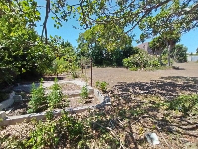 Business For Sale in Newton Park - Photo 5