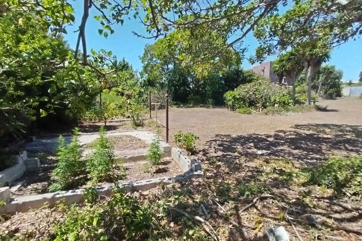 Business For Sale in Newton Park - Photo 5