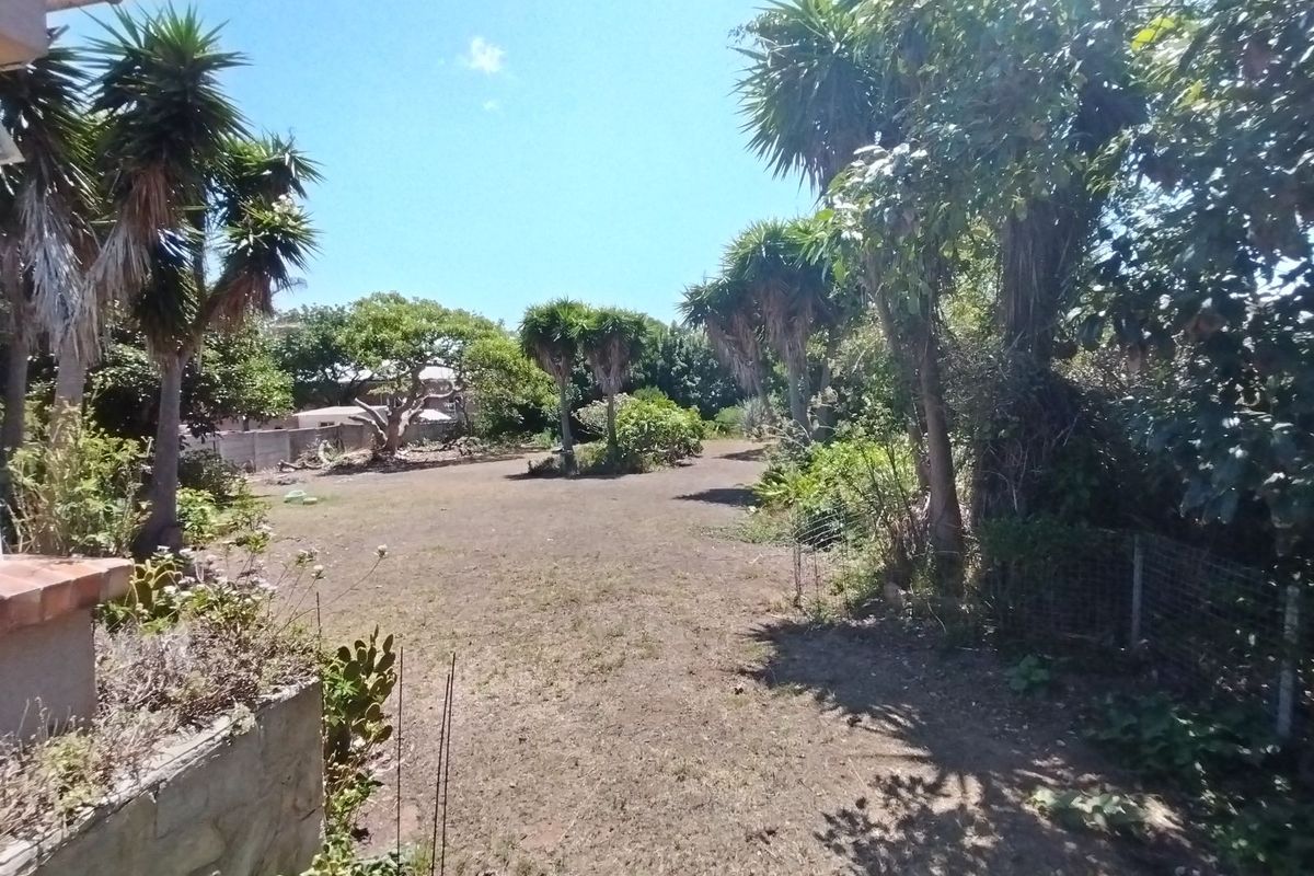 Business For Sale in Newton Park - Photo 2