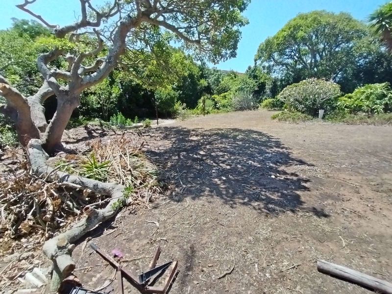 Business For Sale in Newton Park - Photo 7