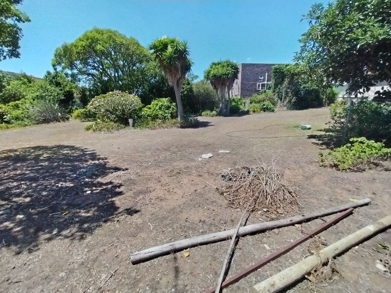 Business For Sale in Newton Park - Photo 6